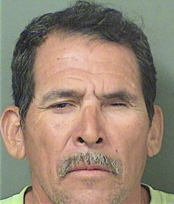 Selvin Clementeramirez, - Palm Beach County, FL 